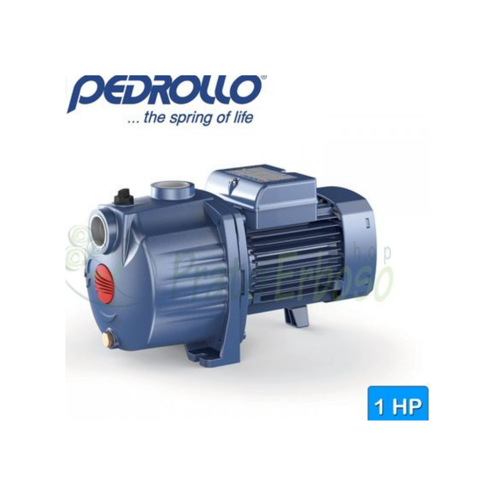 Elettropompa Pedrollo 4CPm 100 multigirante monofase 1 HP